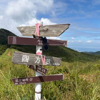 ここで神戸から来た人たちと談笑
楽しかったなぁ～。山の話色々できた。
私、優しい音の関西弁好きだわぁ。
そして、私の筑豊弁｢しゃーしい｣を気に入って
｢私、この言葉使う！｣って帰られた（笑）
無事に次の目的地、広島に着いてますように🙏
