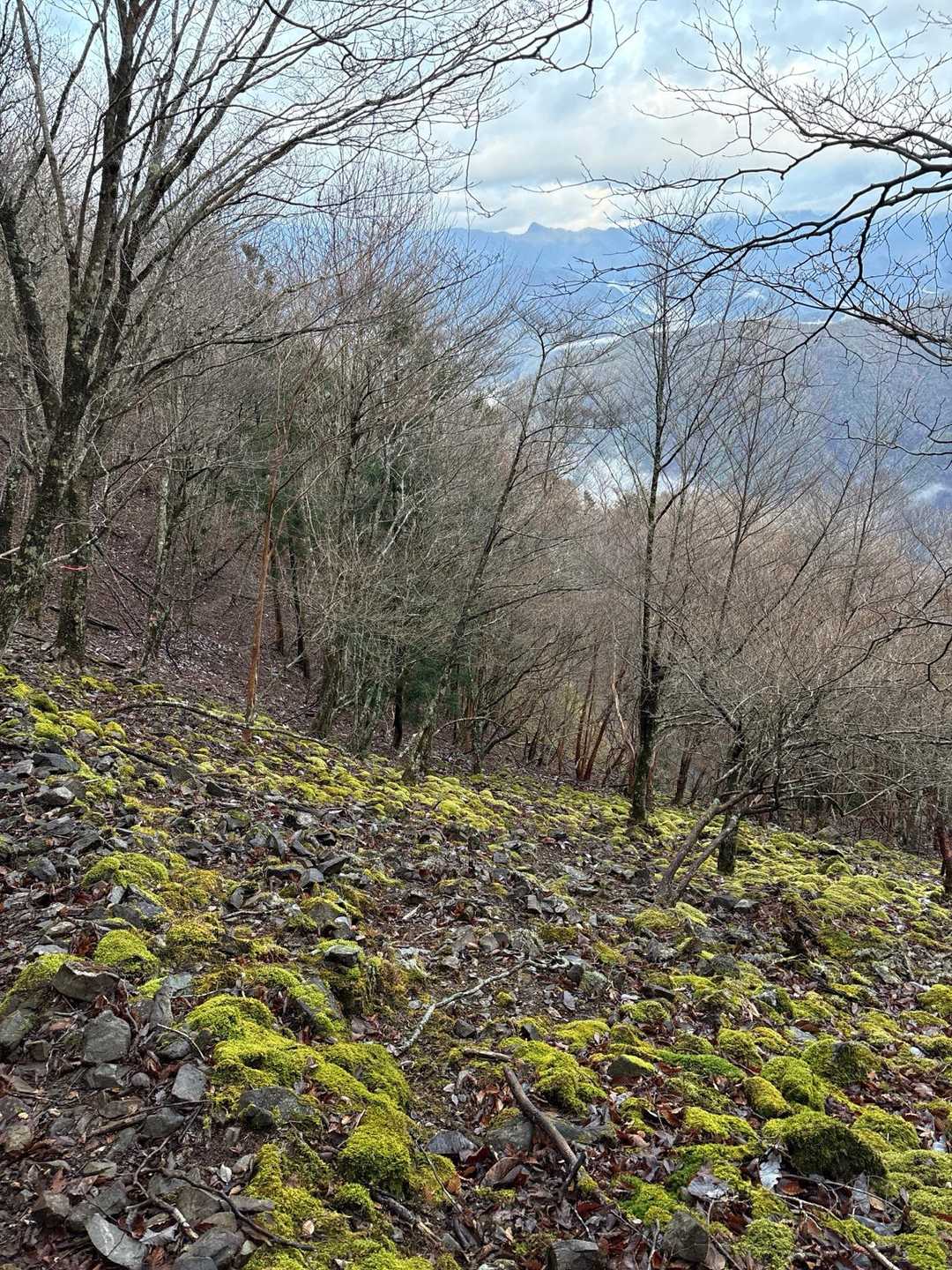苔ランドの奥に行者還岳