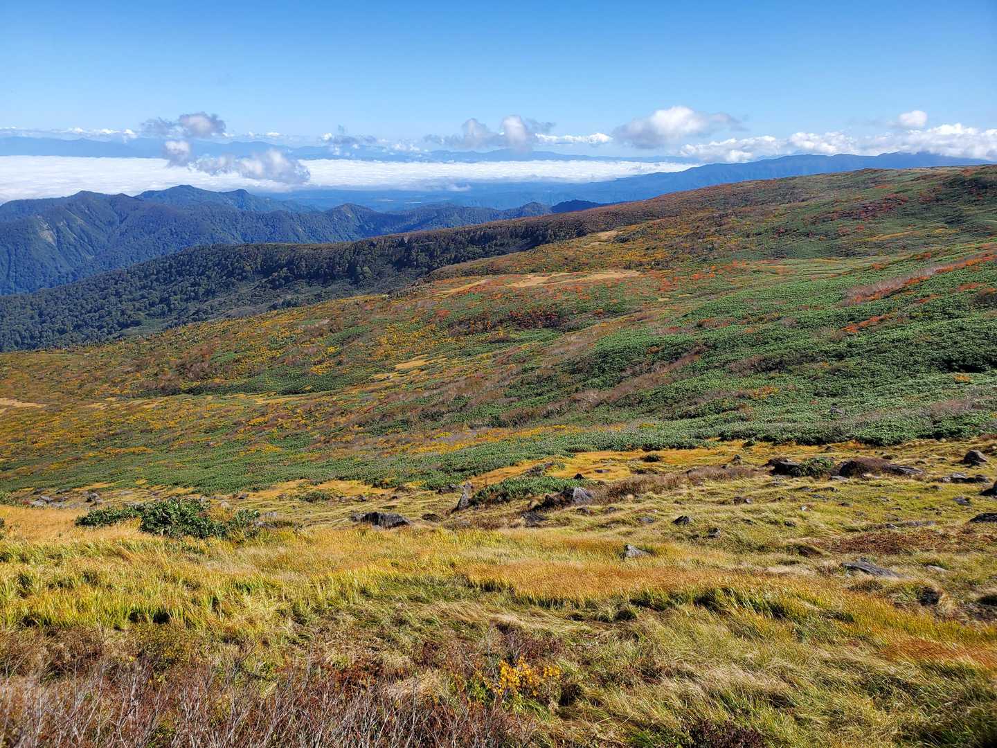 月山八合目往復 | 夏は残雪と花の楽園、秋は黄金に染まる草紅葉、四季折々の魅力の写真