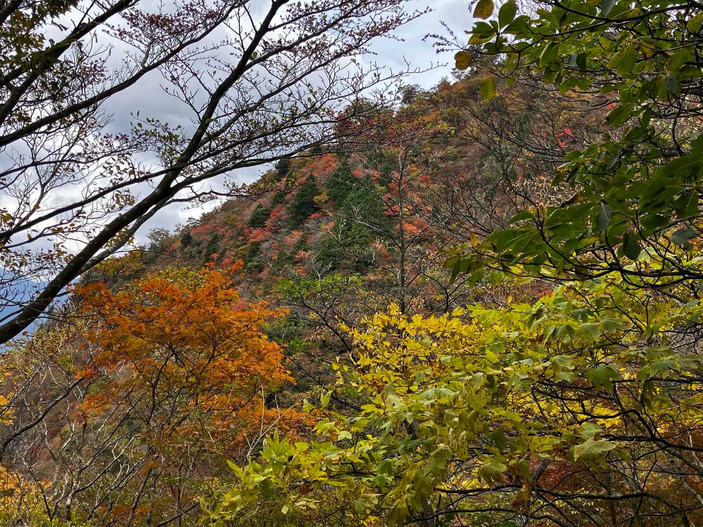 高丸山へ向かう途中、こちらも紅葉
晴れてたらもっときれいなんだろうなぁ
