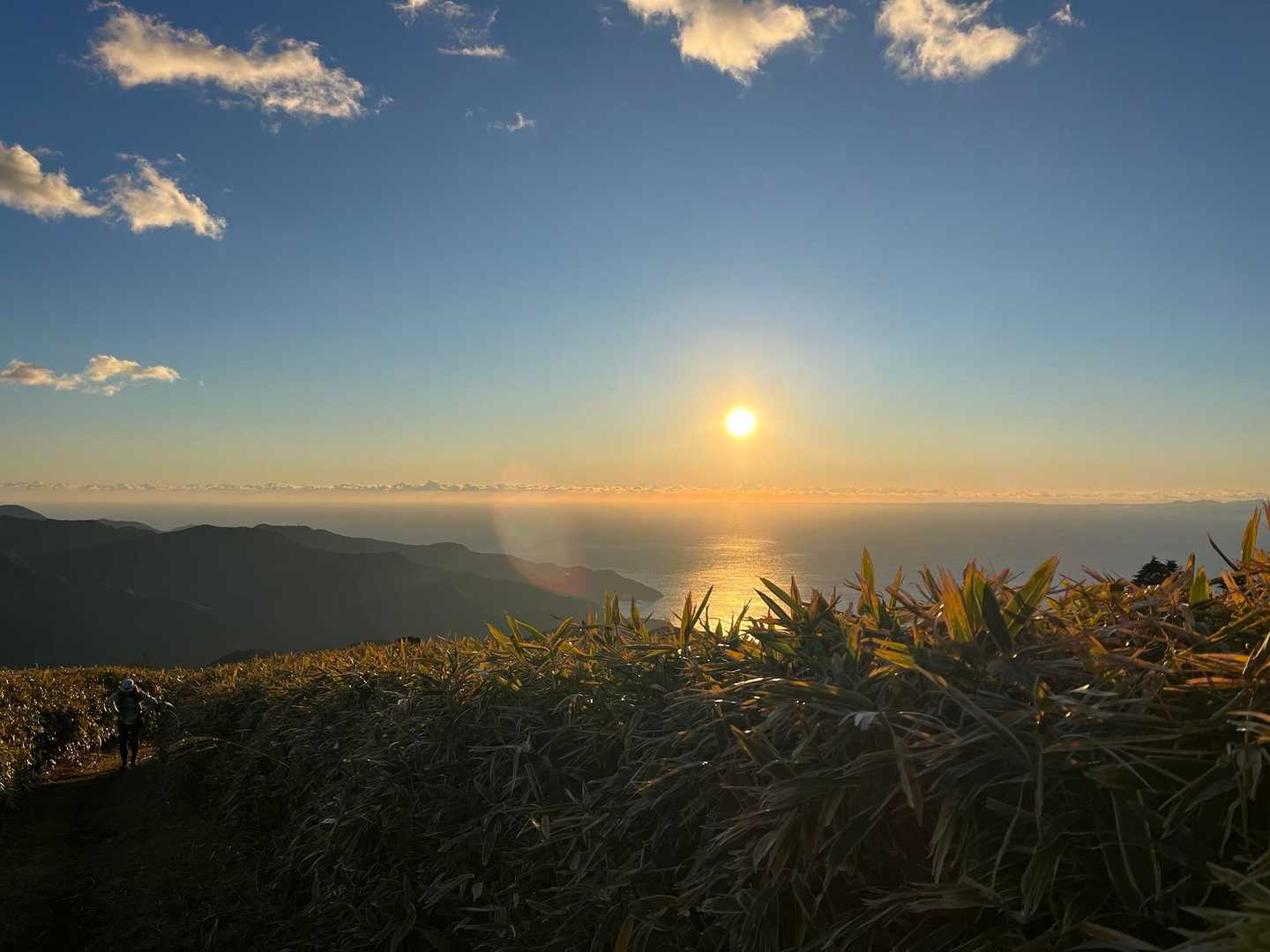 IZU TRAIL Journey 70kの写真