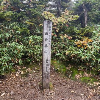 思った頂上と違いました