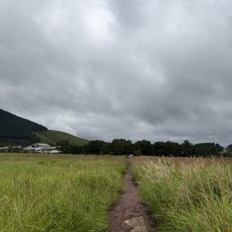長者原に到着！
天気が良くなかったけど、🙆‍♂️楽しかった！