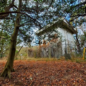 舗装路にでて少し登ると尾島山