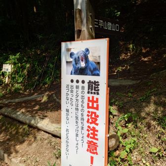 四国ではあまり見かけないのでドキドキ