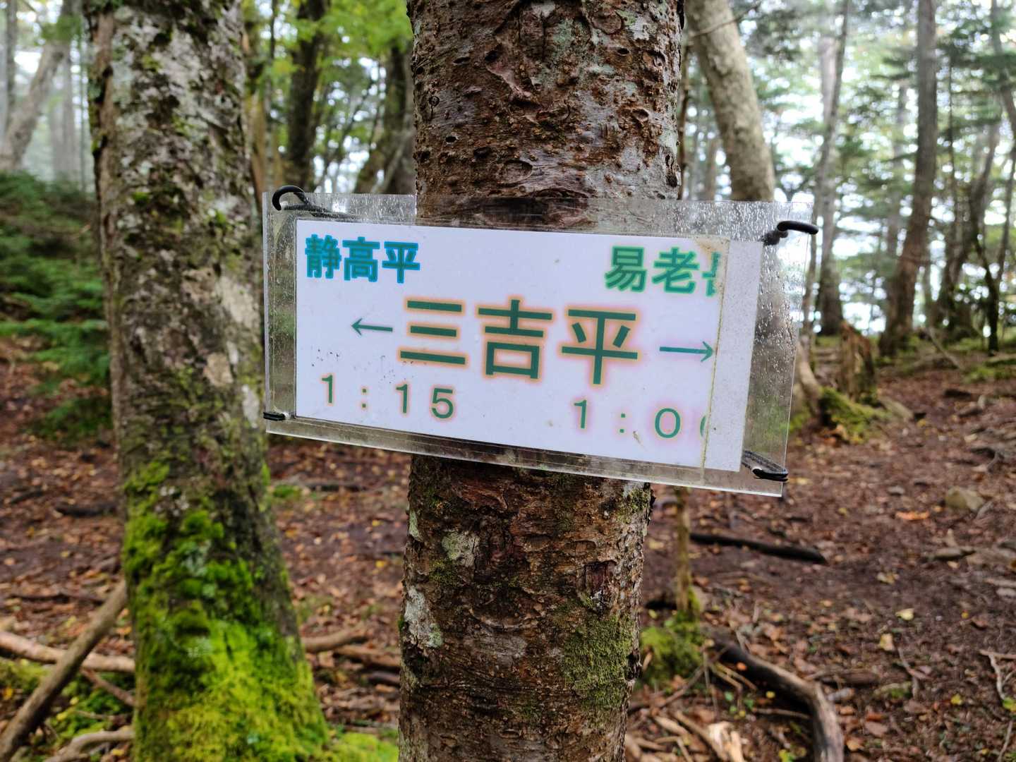 三吉平。
水場のある静高平までは約1時間。登り調子なので、ゆっくりと🐢