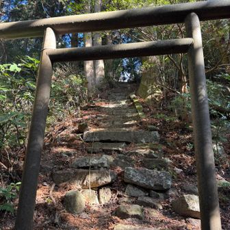 趣のある鳥居⛩️山頂にいける