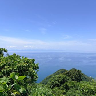 今度は秋に来るかな