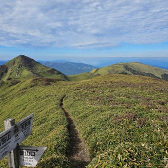 東祖谷の久保バス停へ下りる道の分岐ですが、ここは下りずに稜線を進みます。