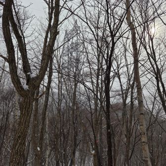 バリルート、鉄塔が見えた