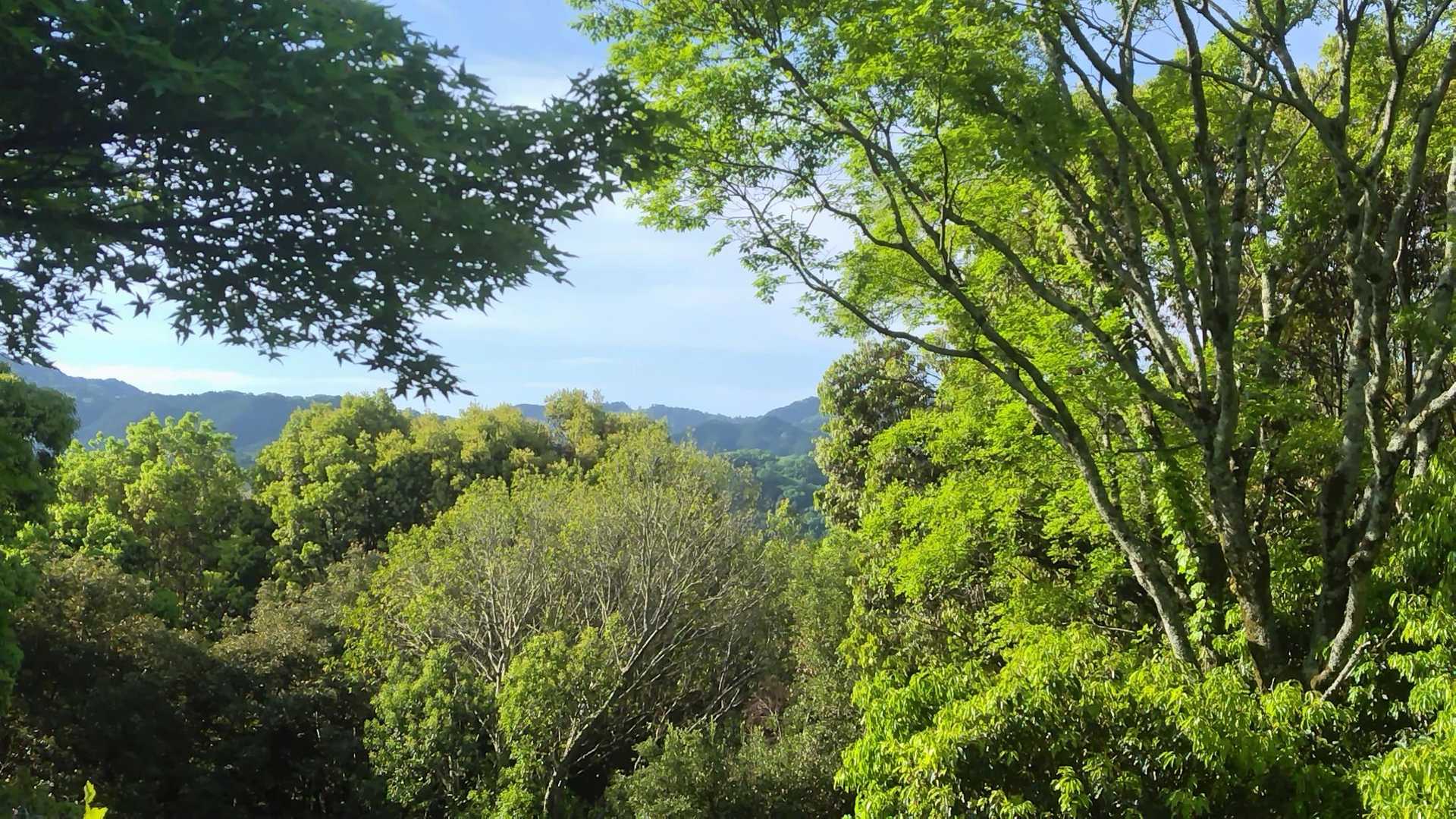 日本三大山城
高取山