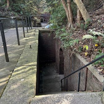 入りません🤗
地下はもうお腹いっぱいです
