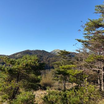 山頂から、左が和田山北峰、右が三峰山。北峰まで行きます。