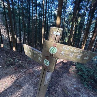 反対からだとちょっと迷う