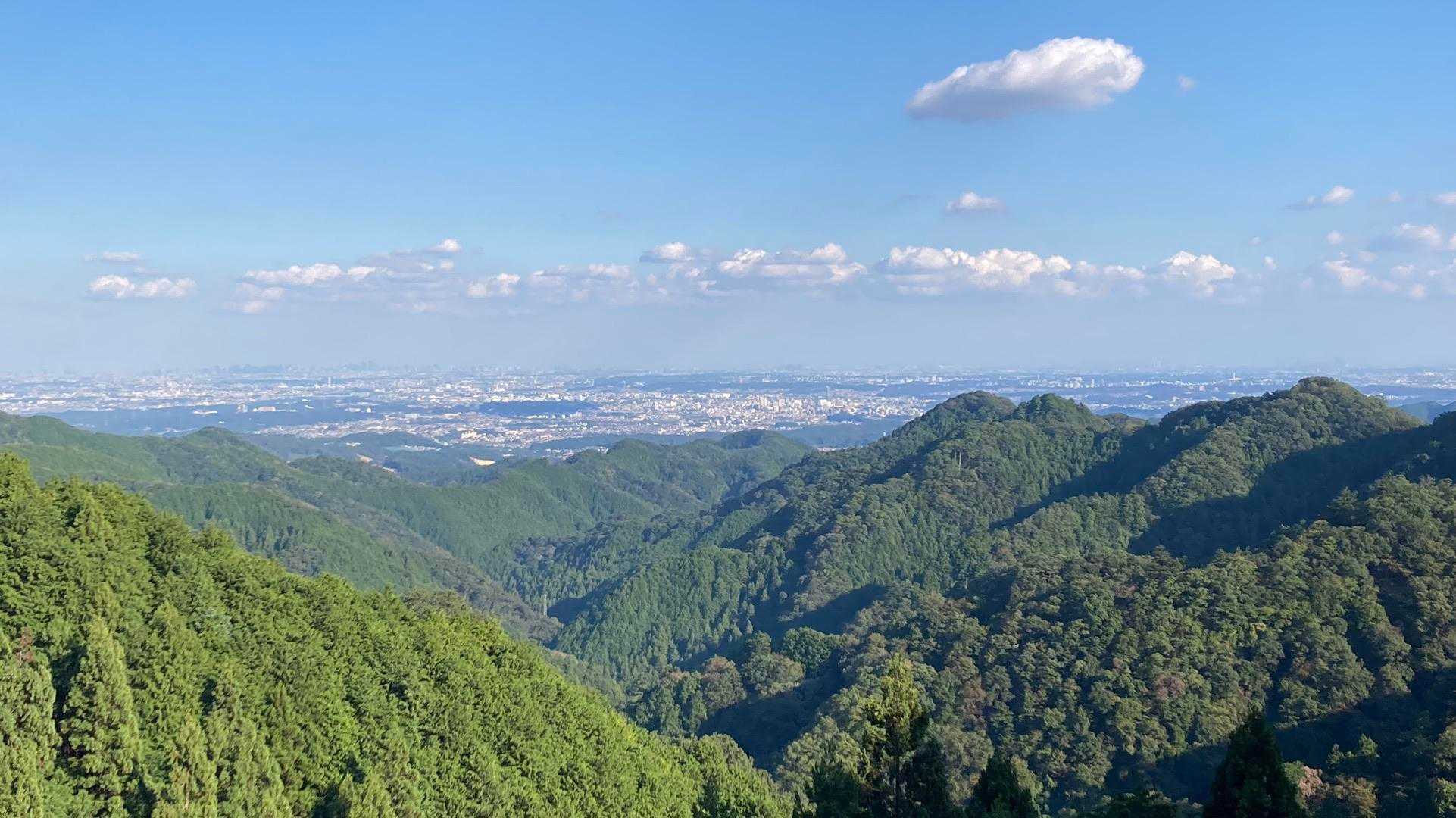 武蔵五日市駅-独標-入山峠-旧入山峠-鳥切場-栗ノ木沢ノ頭 縦走コースの写真
