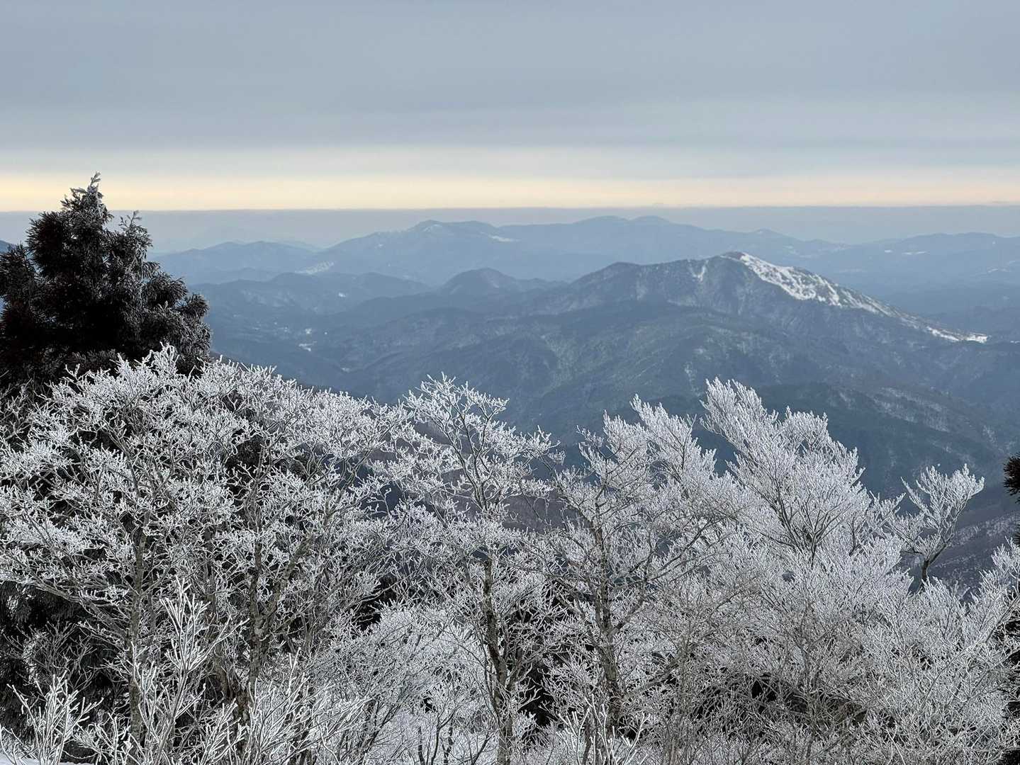 深入山あまり雪ない