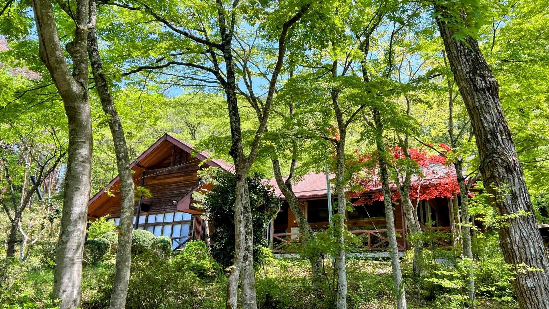 この右手に4人泊まれるくらいのバンガローがいくつもあり、布団とか持ち込み必要ですがお安い価格で泊まれます✨