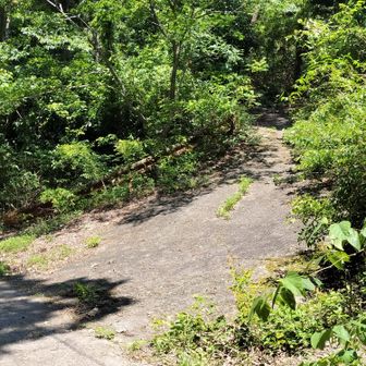 南ドントリッジから降りて、左に行くとすぐ錆びたガードレールの道、ここから北ドントリッチへ　看板なし