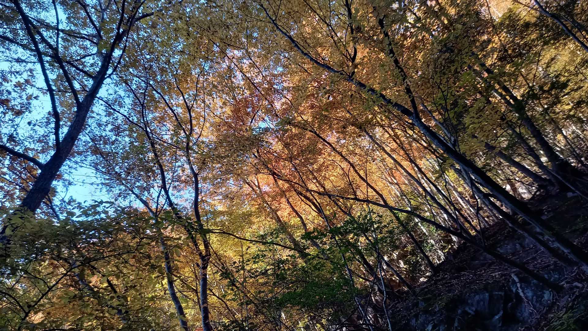 南天山登山口-南天山 往復コースの写真