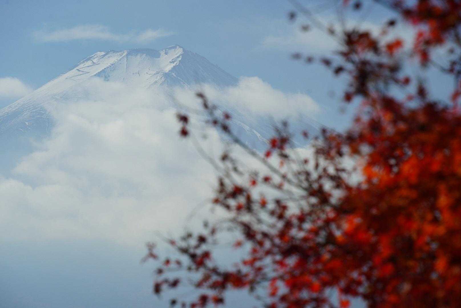 下吉田駅-新倉富⼠浅間神社-新倉山-霜山-天上山-富士見台 縦走コースの写真