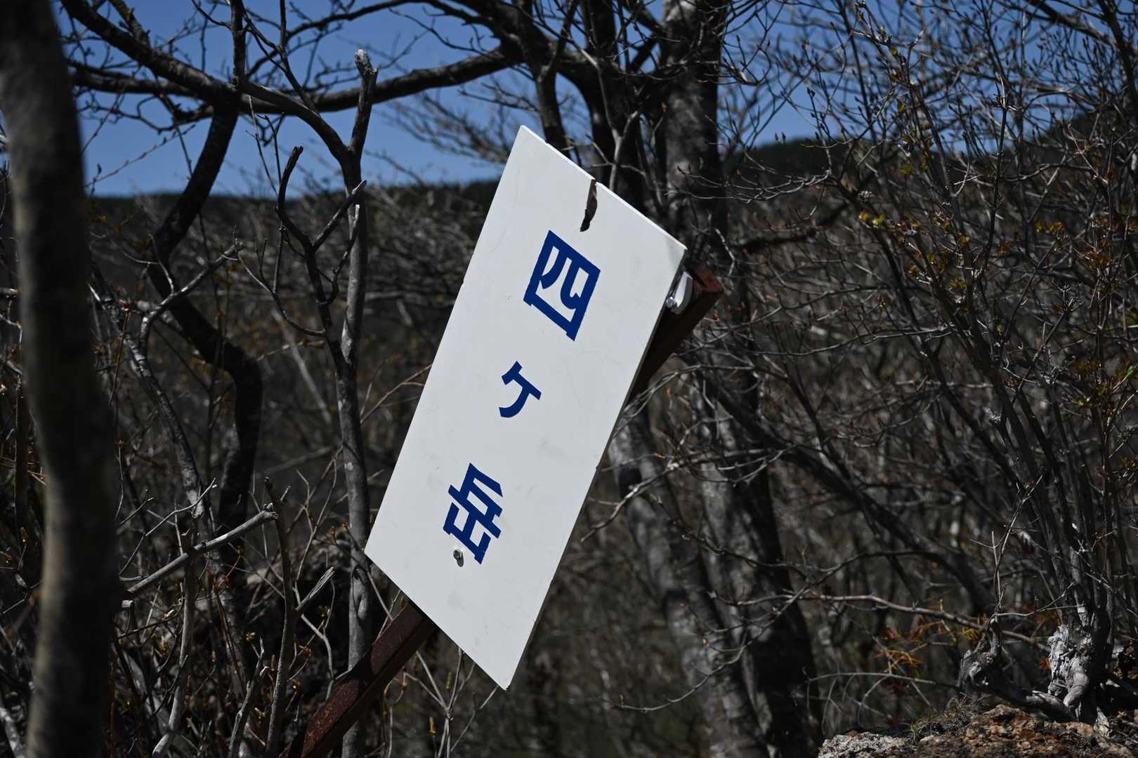 十二ヶ岳登山道入口-ミネ山-毛無山-十二ヶ岳-桑留尾登山口 縦走コースの写真