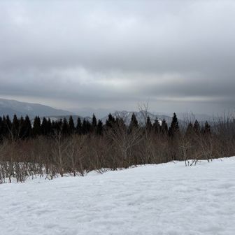 こっちはどんより