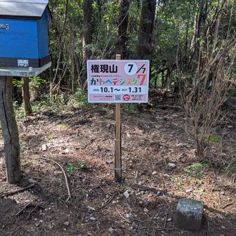 かわべデジスタ