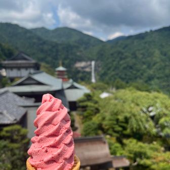 売店で梅ソフトを購入。写真を撮っているとすぐに溶け出し、慌てて食べました😅