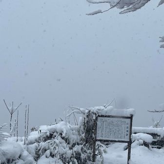 白鳥城跡からも視界なし