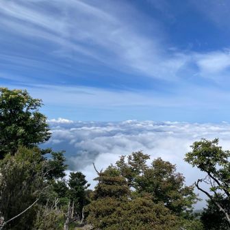 ベテランさんから、雲海が見えたよー