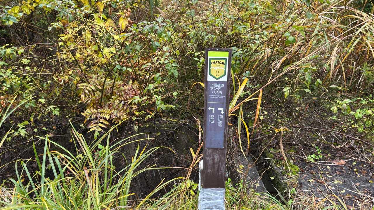 あまとみトレイル#2（戸隠キャンプ場〜苗名の滝〜野尻湖〜斑尾山※迂回区間有）、完走？ の写真 100