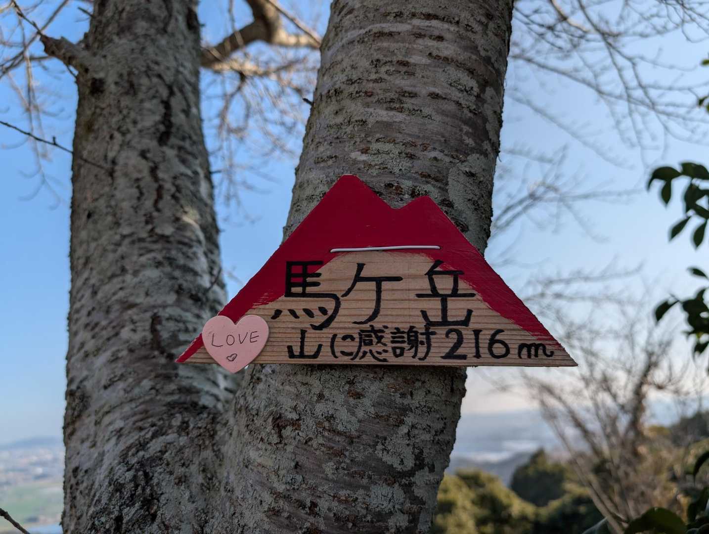 馬ヶ岳登り口-馬ヶ岳-御所ヶ岳 往復コースの写真