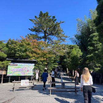 銀閣寺の入り口。紅葉がちらっとだけ