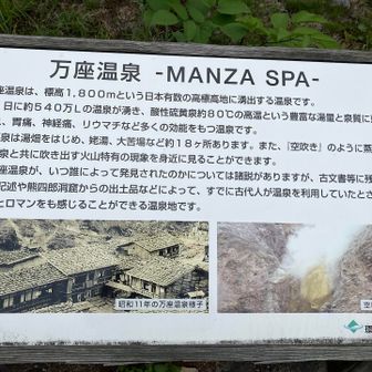 入浴後のサッパリした温泉客🧖♨️や、記念写真を撮っている観光客の中を、汗だくでゼーゼー言いながら老いたおっさんが歩きました🤣