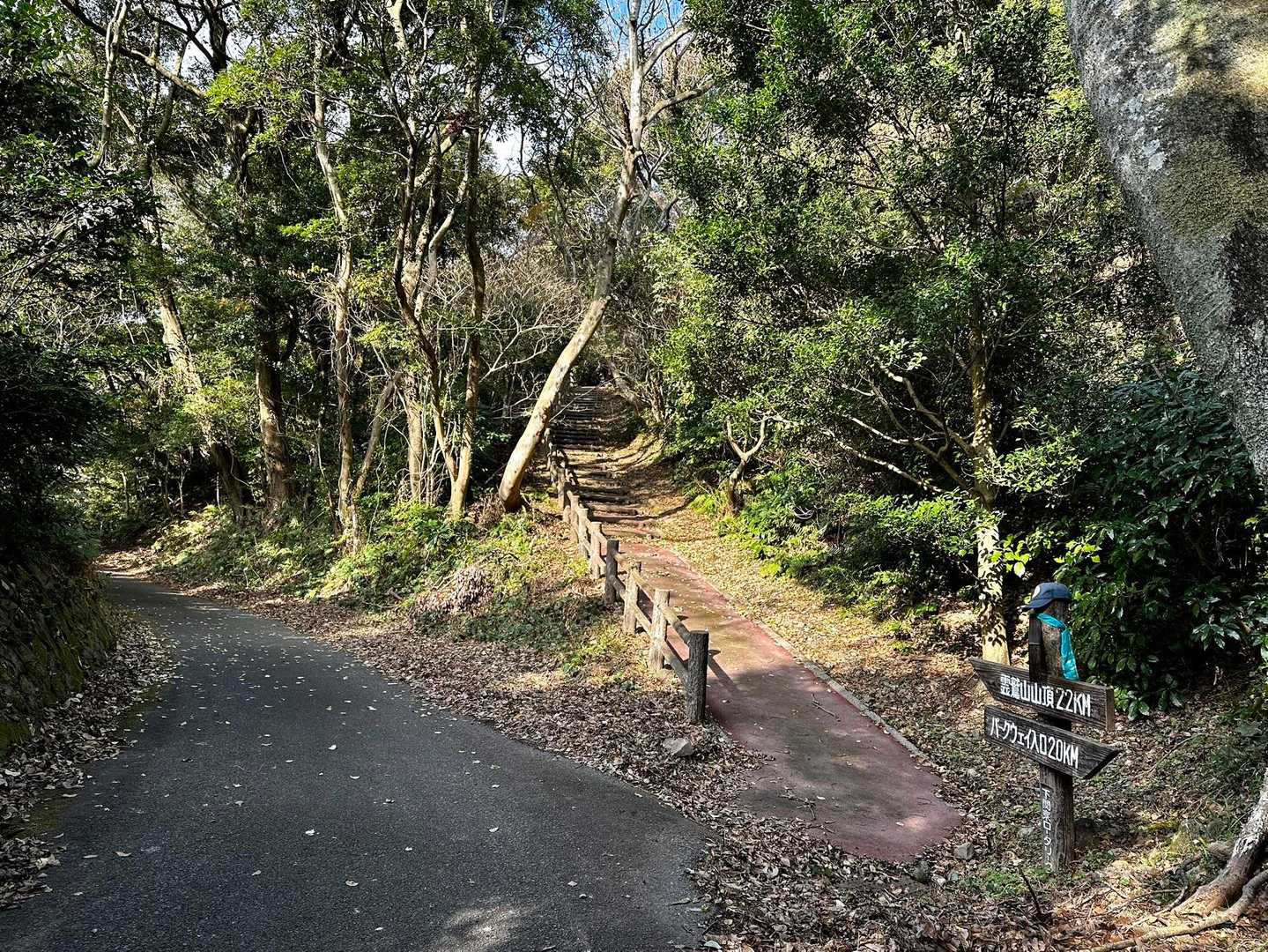 先に左の舗道へ行き、周って右の道から下山します