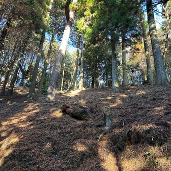 一応活動日記なので、山らしい写真も載せます。