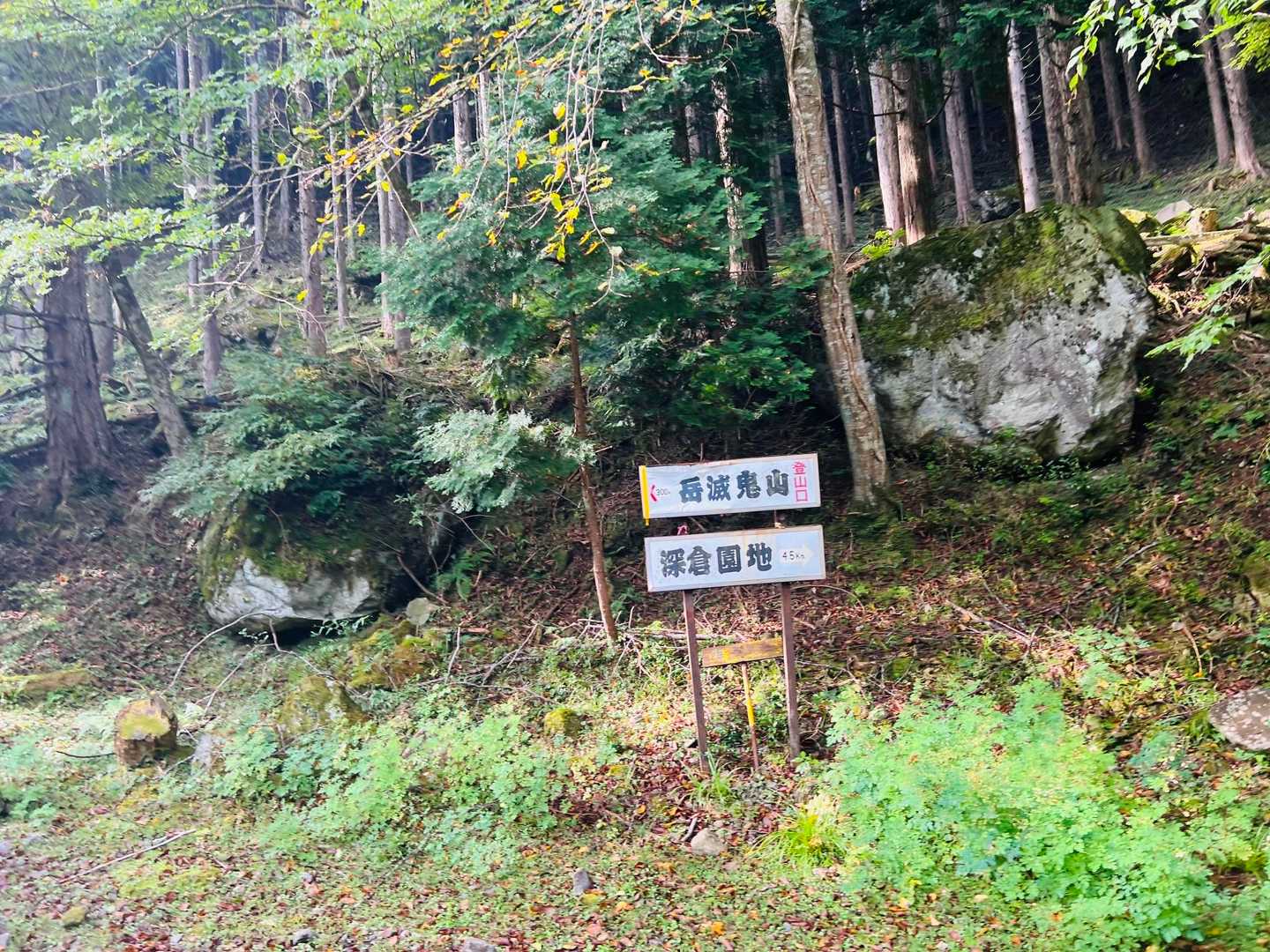 合流点に到着。広くて明るいなぁ。左へ向かって行きます。
