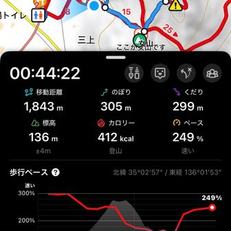 9時45分には家に帰って出発しなければならなかったので、下りでちょい急いだらこのザマです