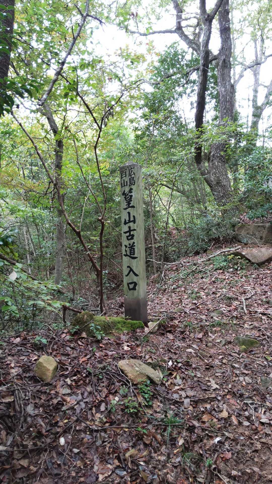 古道入口ってまだ入口じゃなかったんか～いw