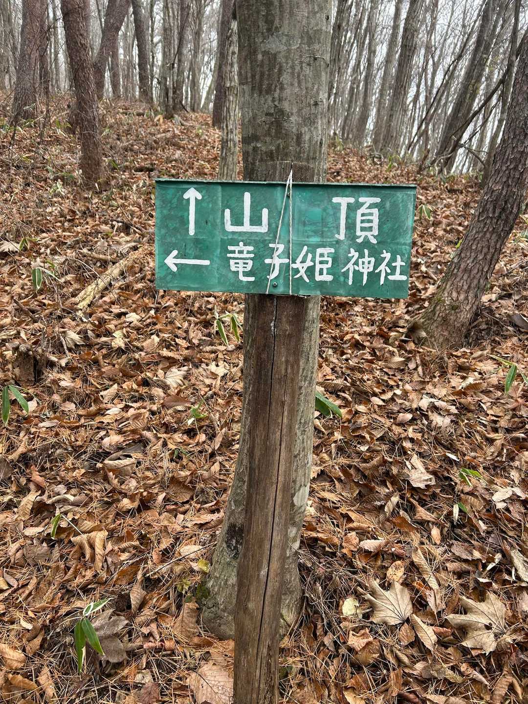竜子山登山道入口-竜子山-竜子姫神社-竜子山登山口 周回コースの写真