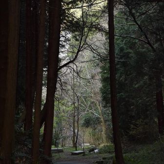 今回もいい山歩きだった。