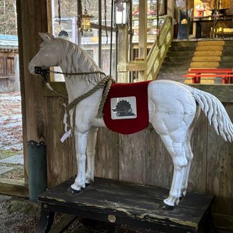 白馬　かっこいいね！　今年は午年❣️