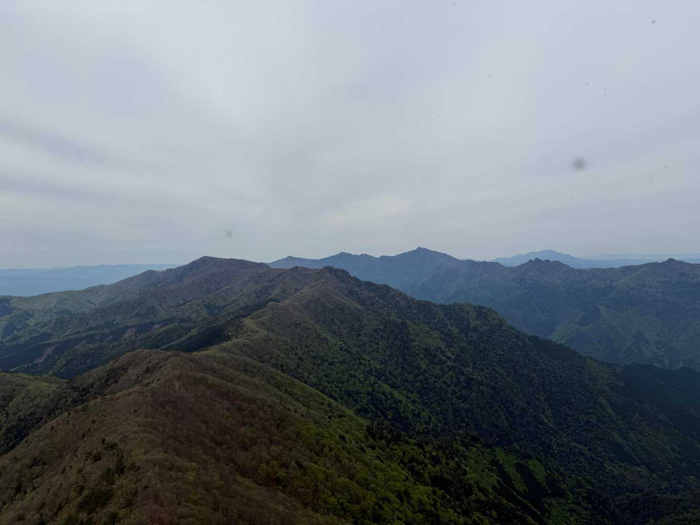 杉ヶ越登山口-傾山 往復コースの写真