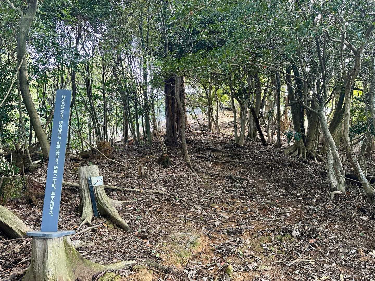 白山 往復コースの写真