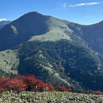 鞍瀬ノ頭⛰️