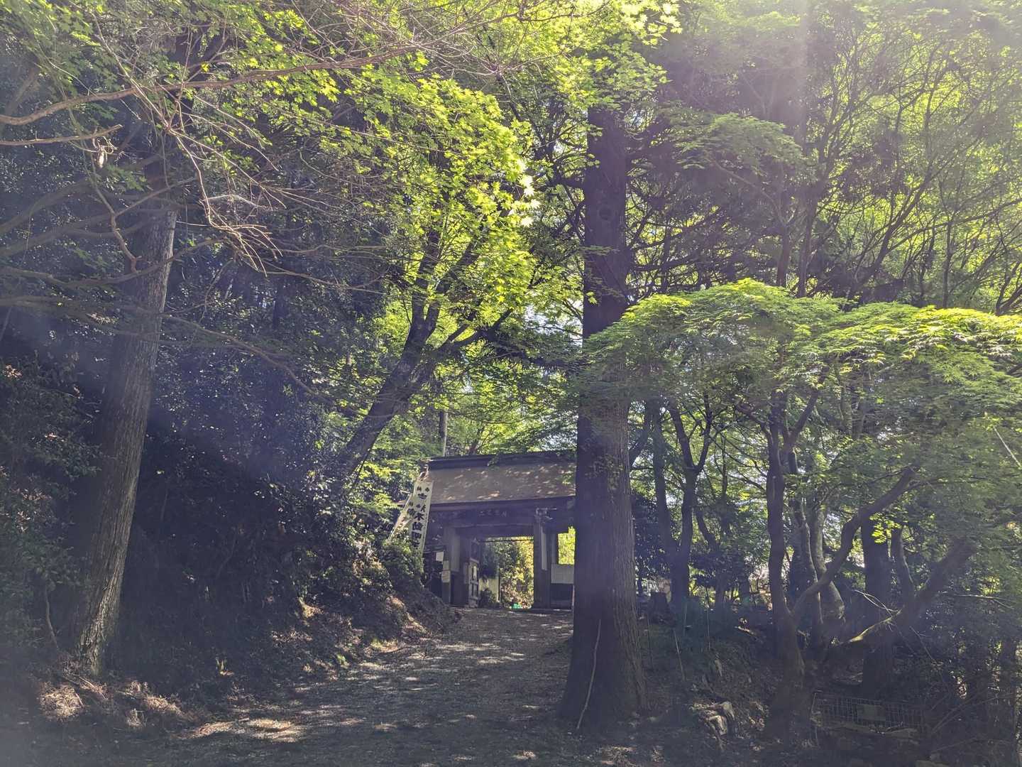 鷲峰山 周回コースの写真