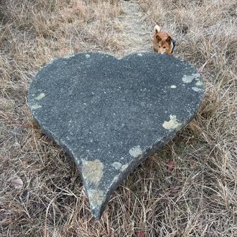 ハート型になってる❤︎