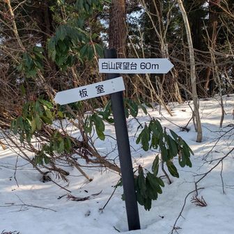 先に進んで白山展望台へ