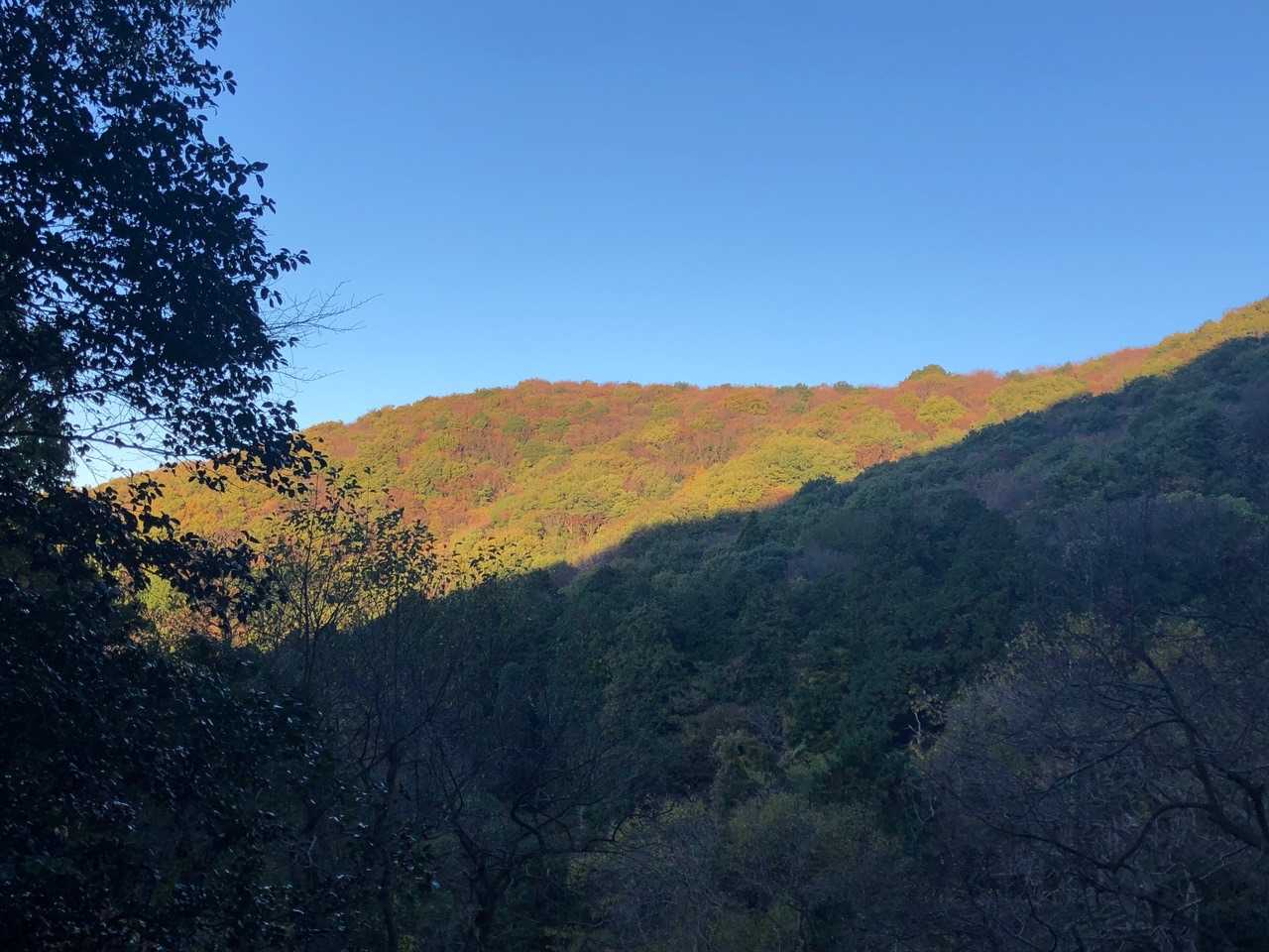山にも陽が当たって紅葉の部分が綺麗