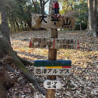 サクっと登頂！と言う訳ではなく、なかなかの急登でした…